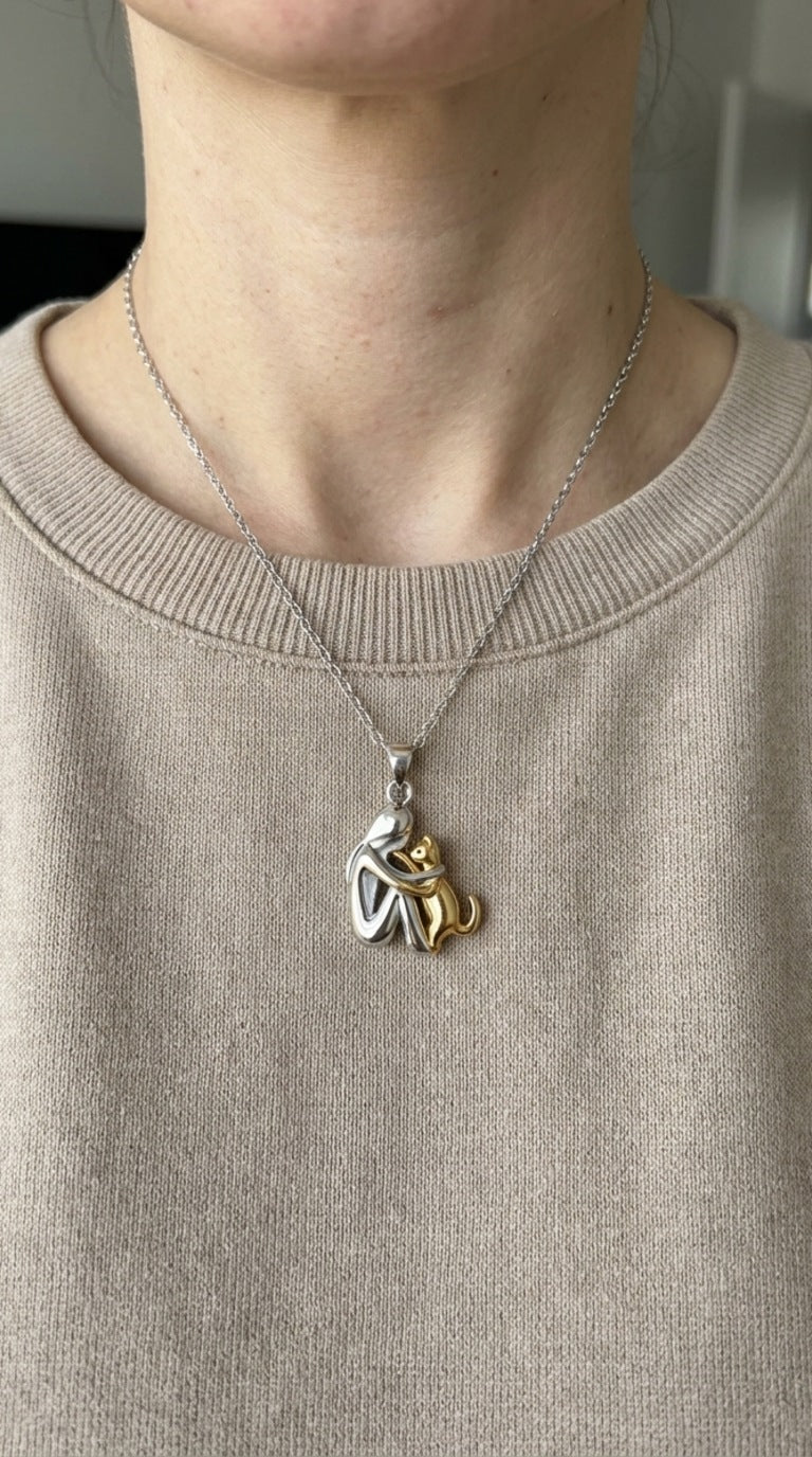 Collar del Abrazo Eterno